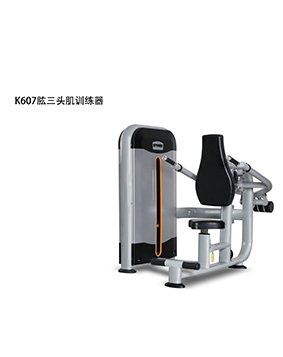 芭乐视频APP黄 肱三头肌训练器 K607
